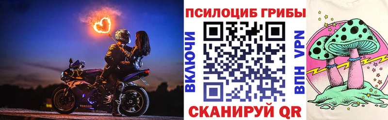 Галлюциногенные грибы Psilocybine cubensis Азов