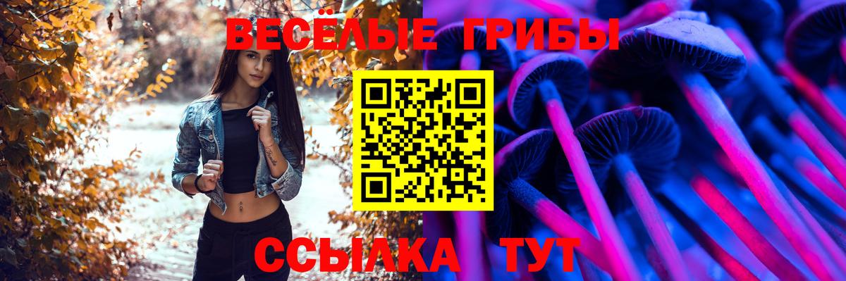 Псилоцибиновые грибы прущие грибы  Псилоцибиновые грибы MAGIC MUSHROOMS  Азов 